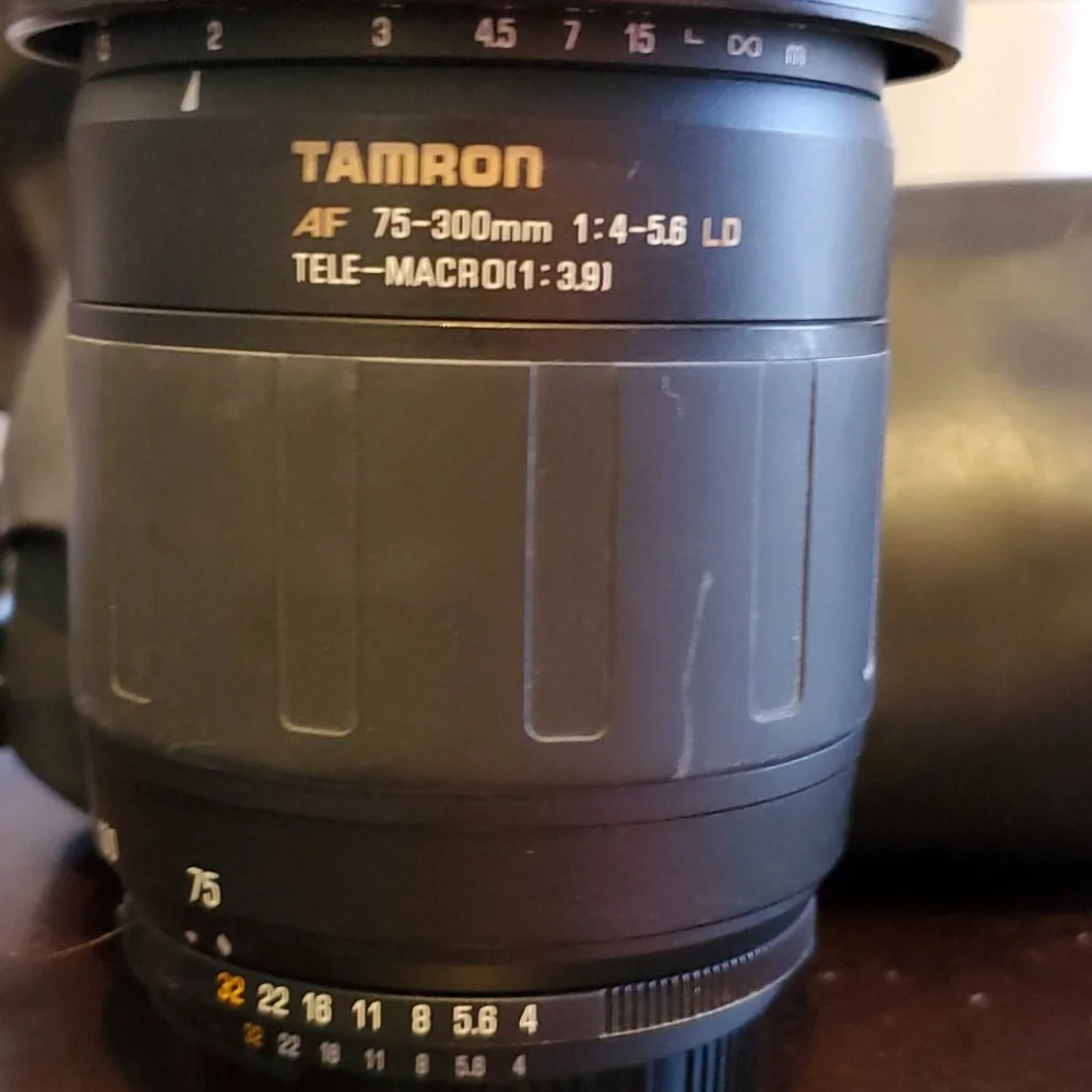 Nikon D50 6.1MP Digital SLR Camera